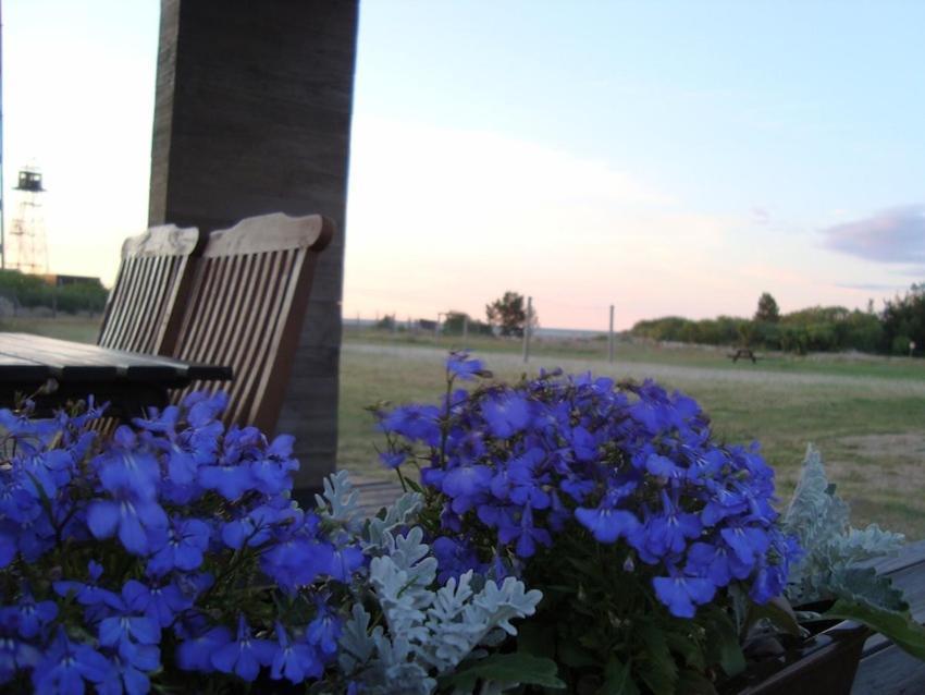 Pavilosta Marina Chambre photo